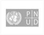 pnud logo