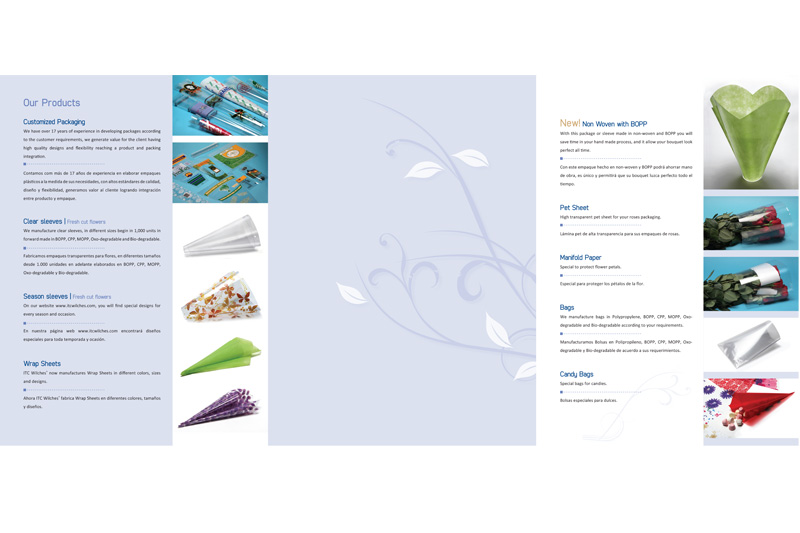 ITC Wilches brochure digital interior