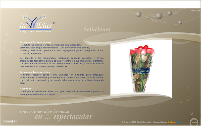 itc multimedia