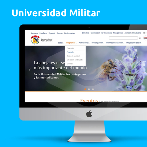 universidad militar consultoría